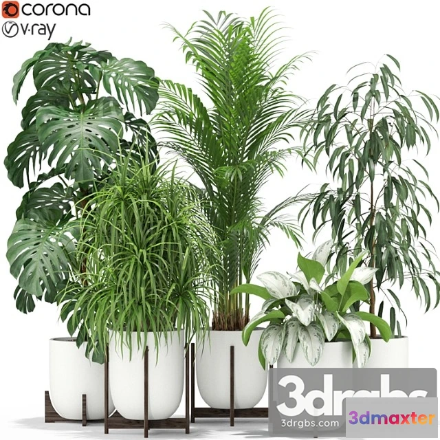 1062840 - Plants collection 354