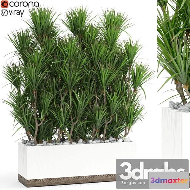 1062844 - Plants collection 428