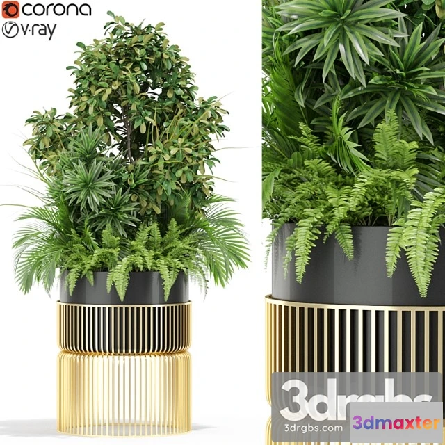 1062846 - Plants collection 432