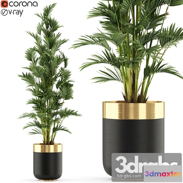 1062856 - Plants collection 471