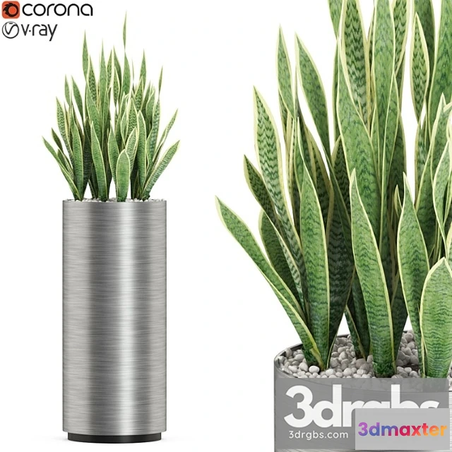 1062862 - Plants collection 506