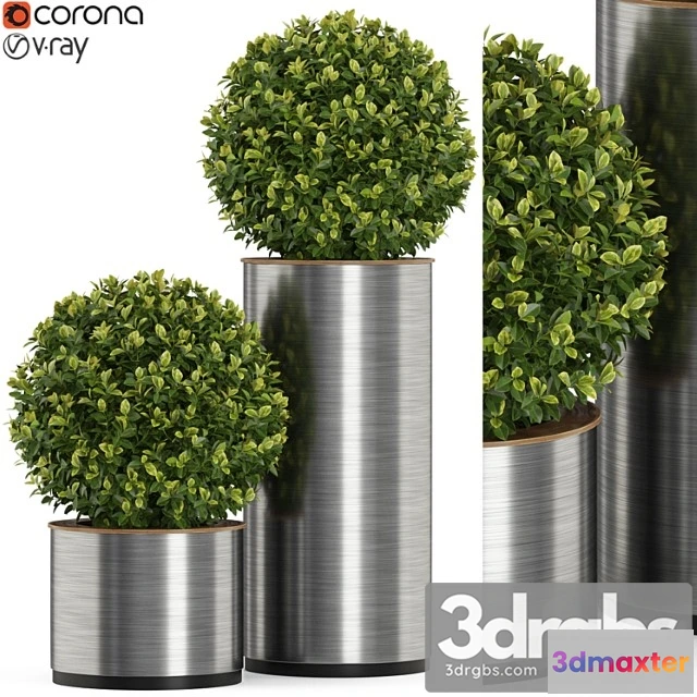 1062864 - Plants collection 512