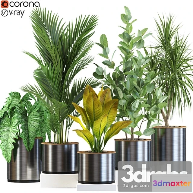 1062870 - Plants collection 547