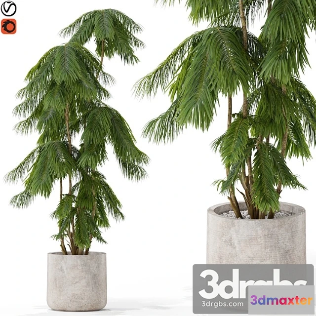 1062872 - Plants collection 573