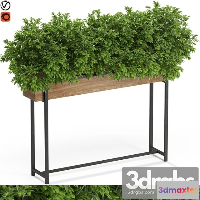 1062880 - Plants collection 588