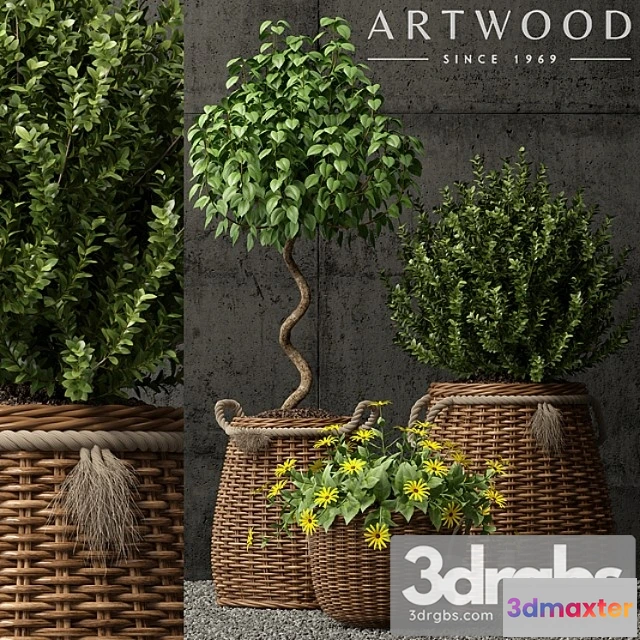 1062892 - Plants collection 65