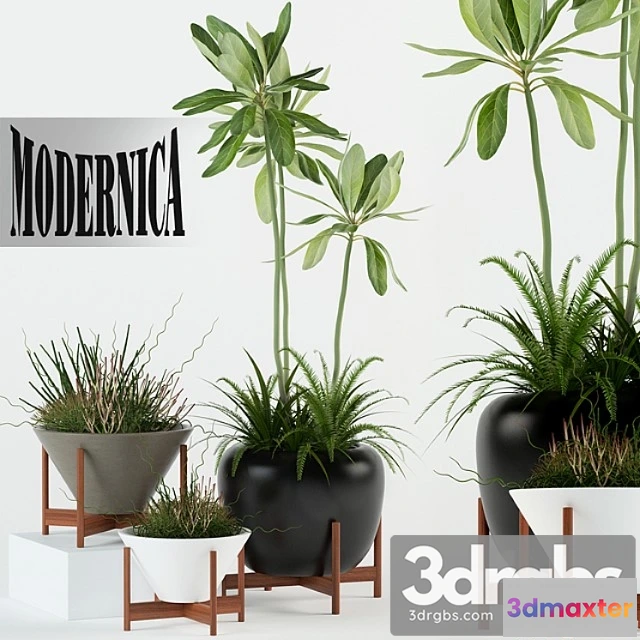 1062906 - Plants collection 77 modernica pots