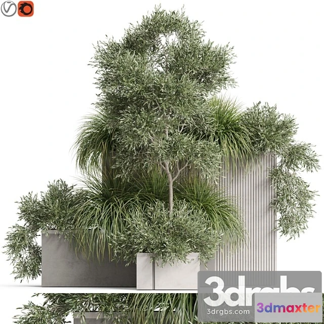 1062908 - Plants collection 770