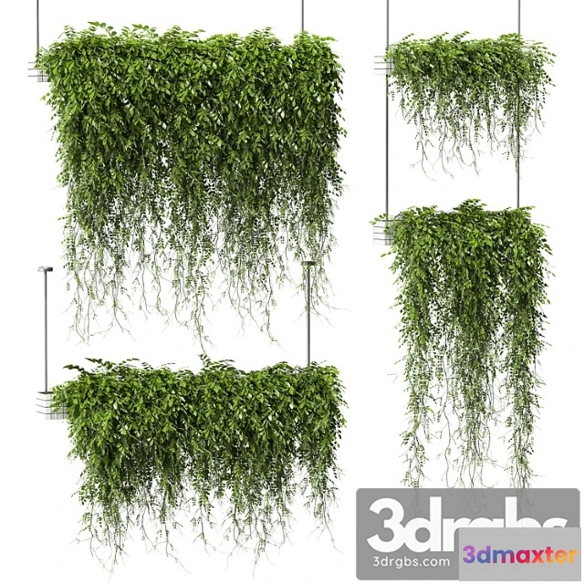 1062930 - Plants in hanging pots v3. 4 models