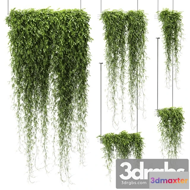 1062932 - Plants in hanging pots v4. 5 models