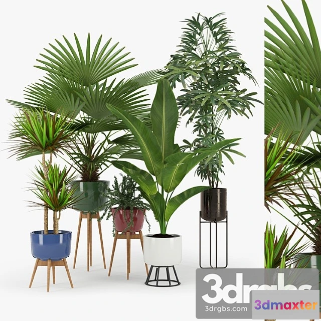 1062948 - Plants Indoor Plant set 03