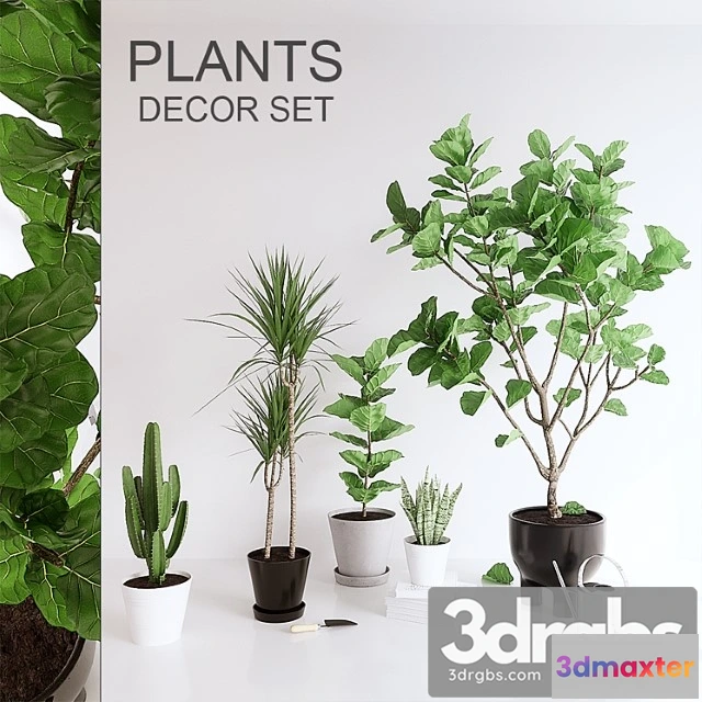 1062956 - Plants set (vray ggx, corona pbr)