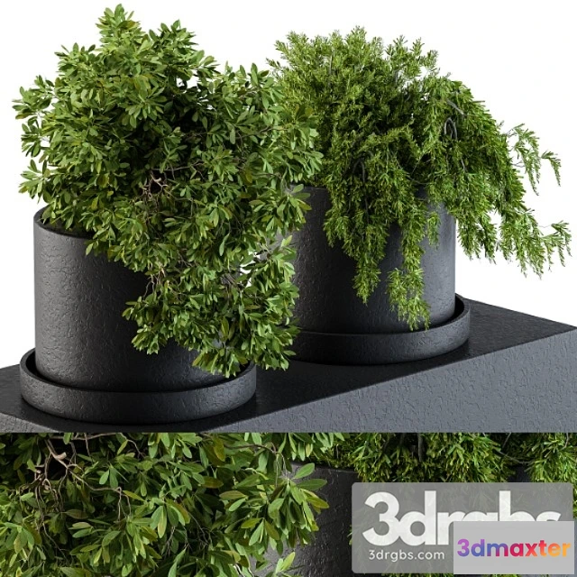 1062964 - Plants set 47