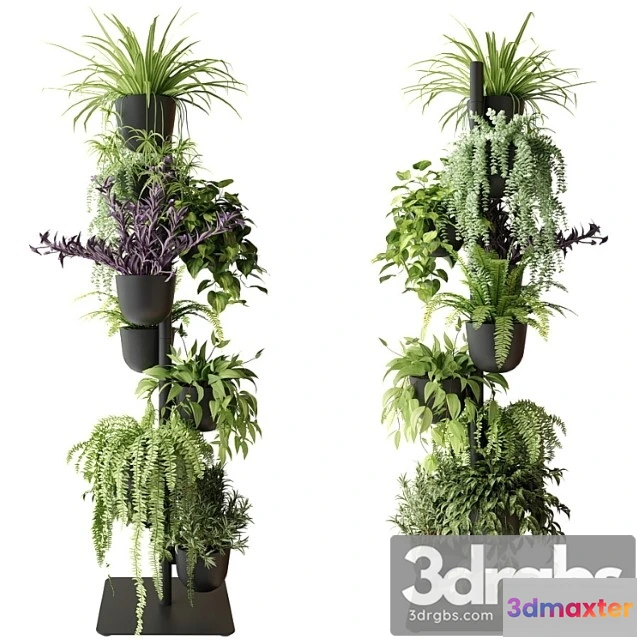 1062984 - Rack with indoor plants in pots