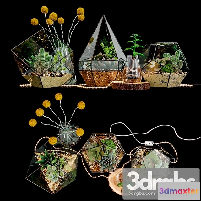 1063022 - Set of florariums