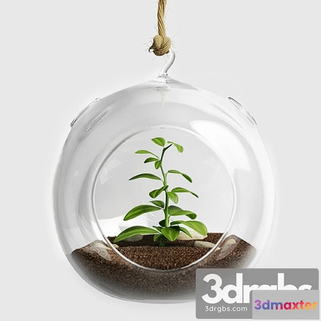1063062 - Terrarium for herbs