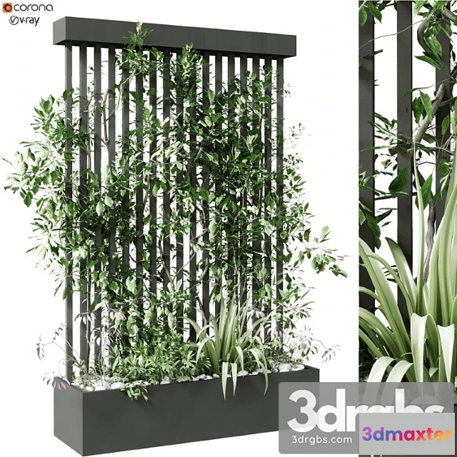 1063080 - Vertical plant in box set 124