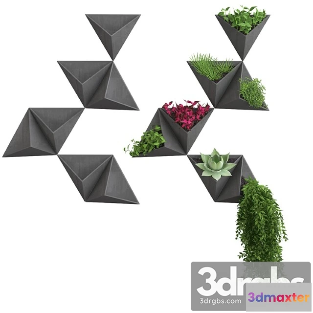 1063082 - Wall flowers