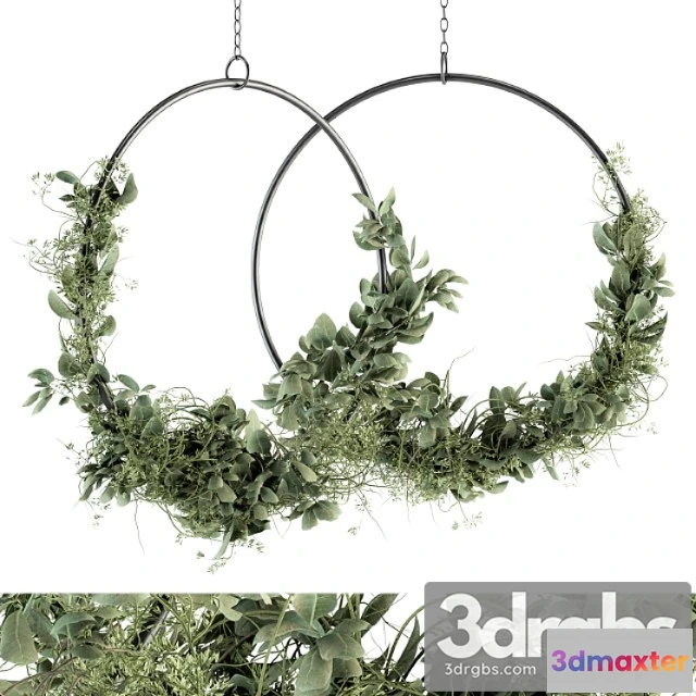 1063098 - Wreath olive plants - wreath set 07