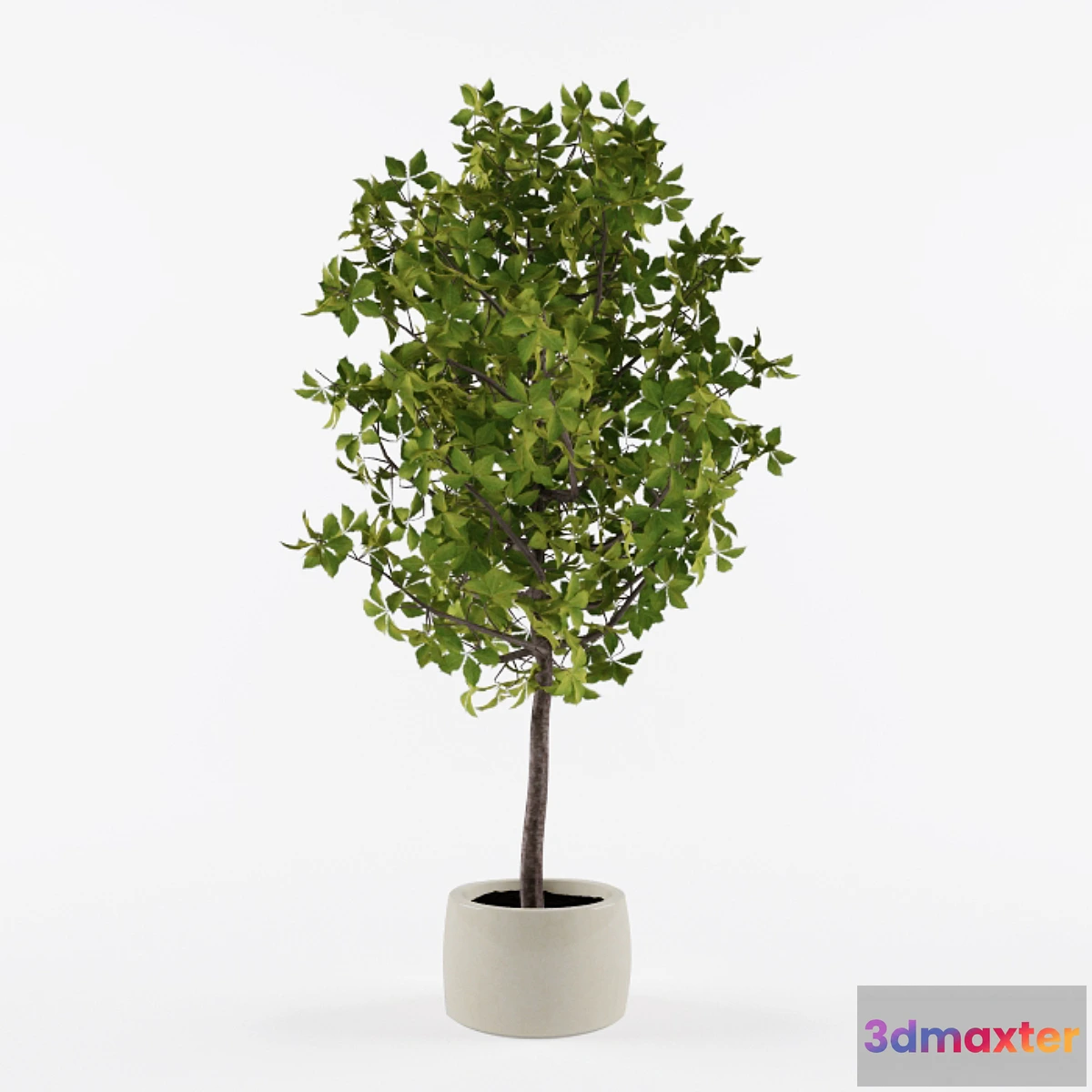 1269979 - Homemade tree 3D Max