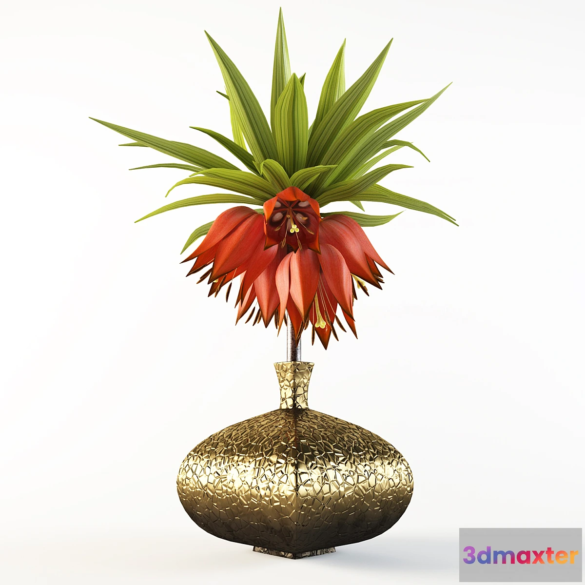 1271369 - Imperial Fritillaria - No.4 3D Max