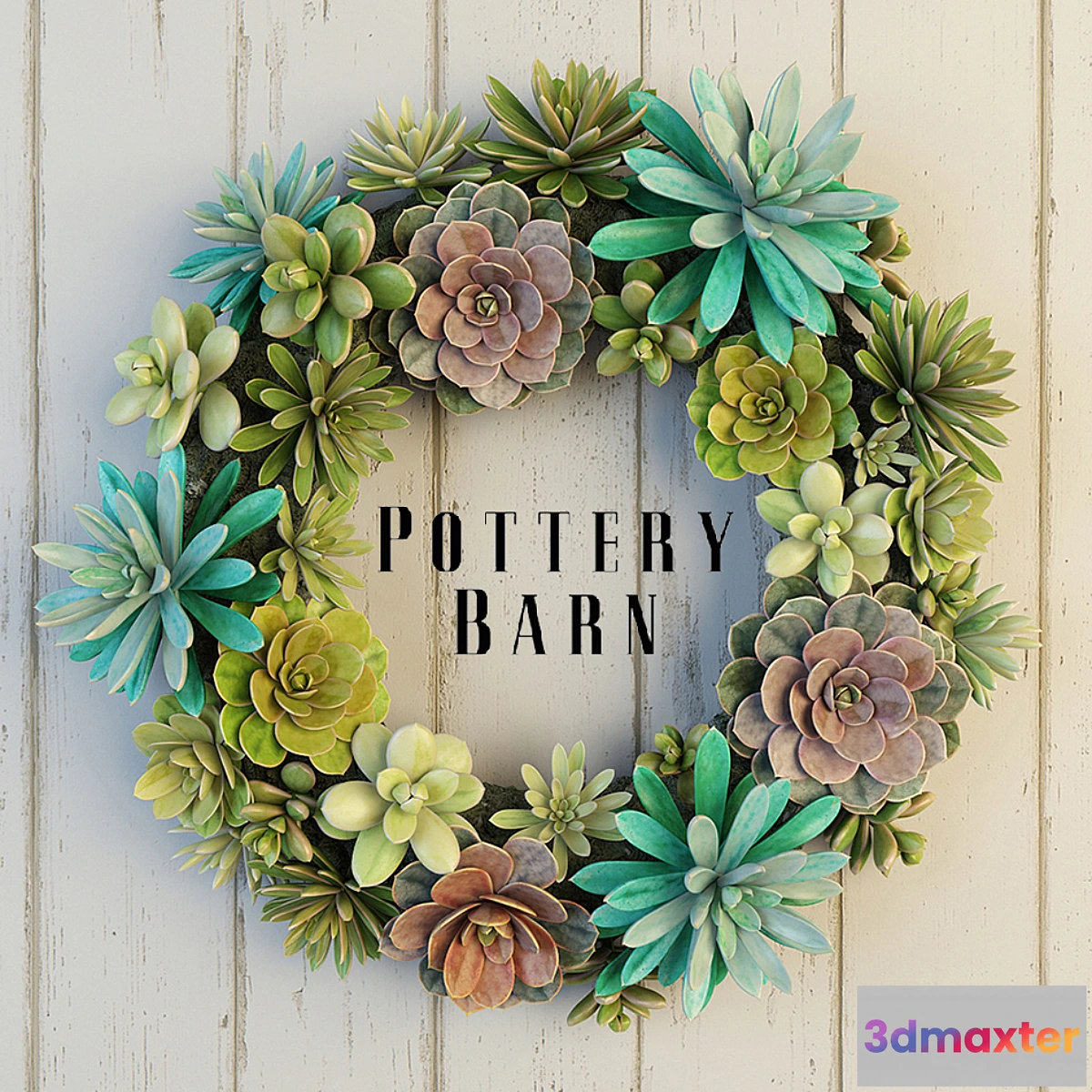 1275434 - Pottery Barn Succulent Wreath 3D Max