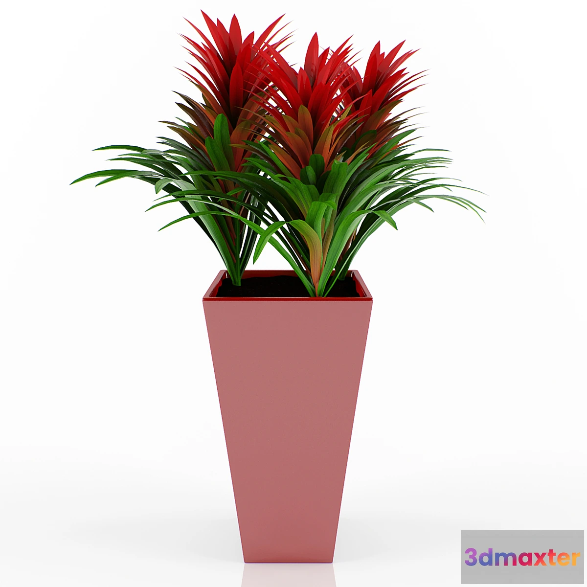 1276108 - Guzman 3D Max