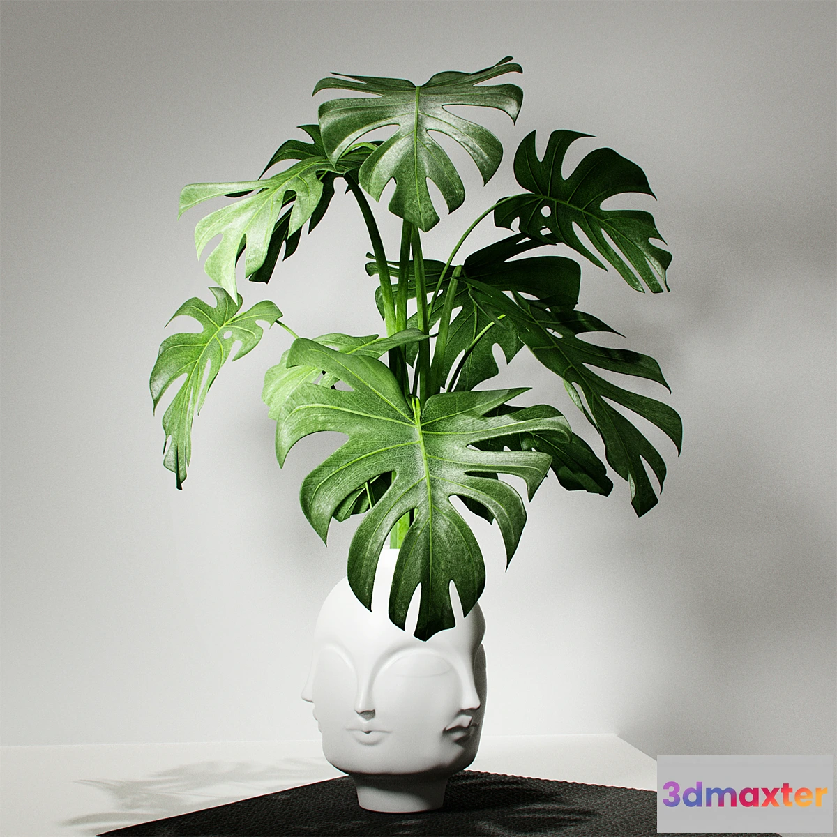 1278242 - Monstera vase DORA MAAR by Jonathan Adler 3D Max