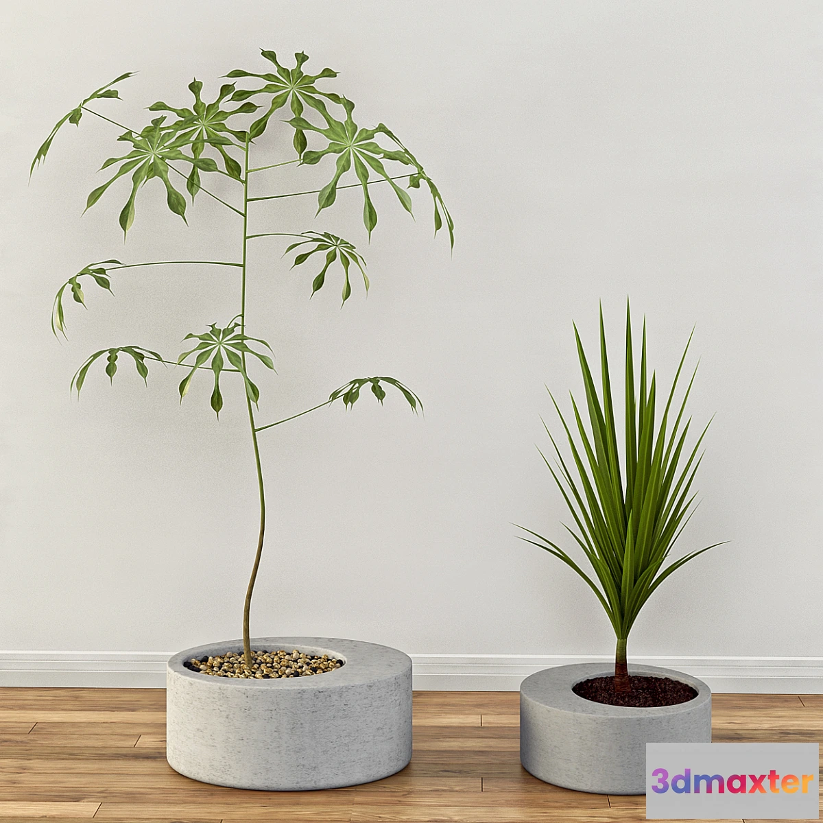 1279534 - Obleeek Concrete Planter Set 3D Max