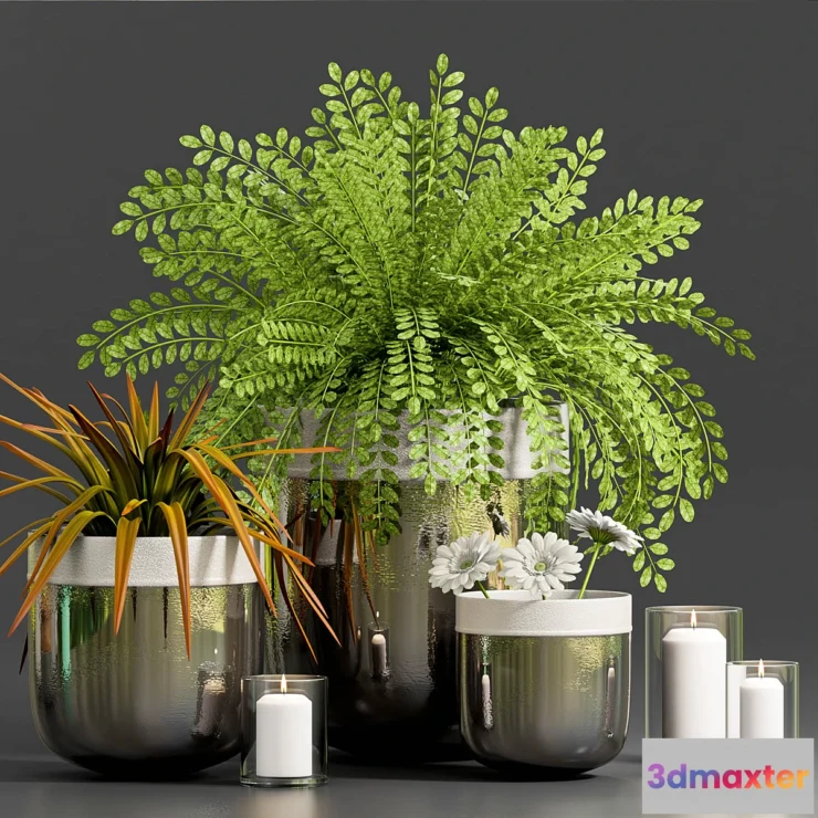 1279546 - DECORATIVE PLANT WITH GERBERA FLOWER 3D Max