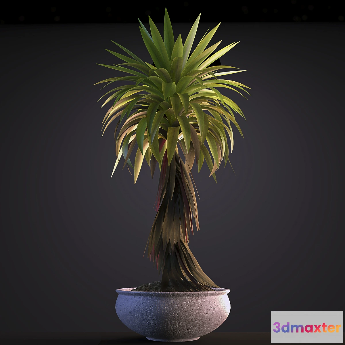 1279684 - PLANT 5 3D Max