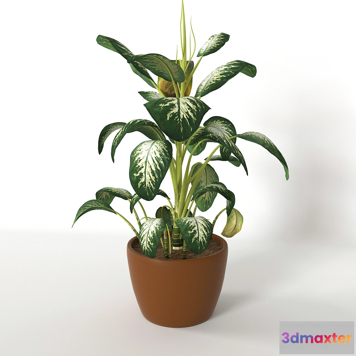 1281192 - Diffinbahiya 3D Max