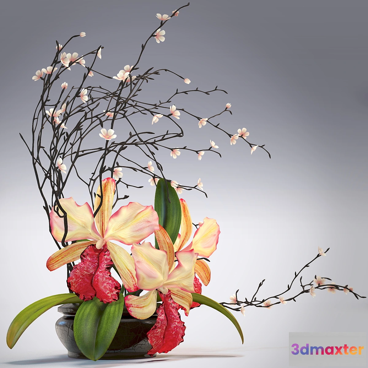 1281360 - Arrangement of orchids 3D Max