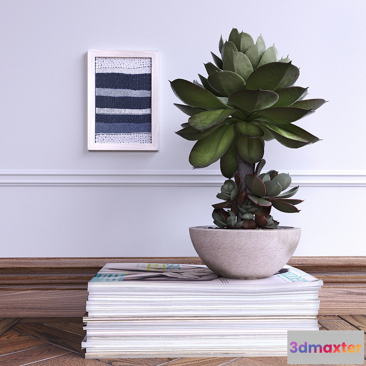 1283520 - Succulent - No.2 3D Max