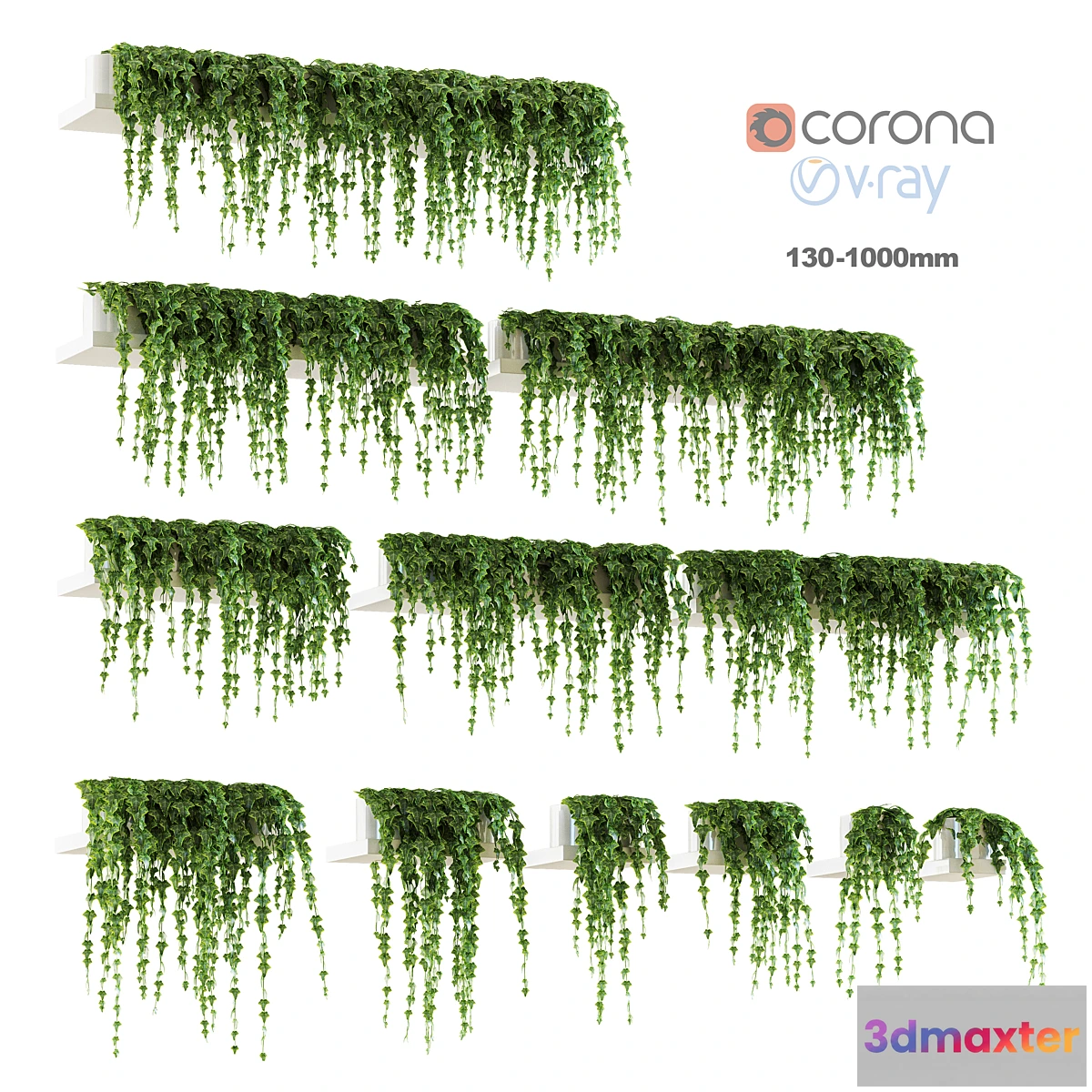 1285712 - Ivy shelf. 12 models 3D Max