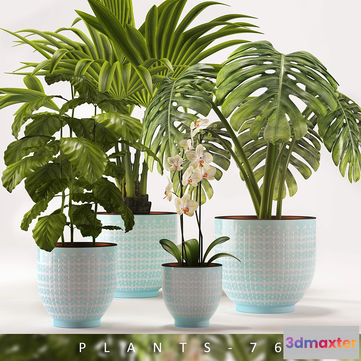 1285718 - PLANTS 76 3D Max