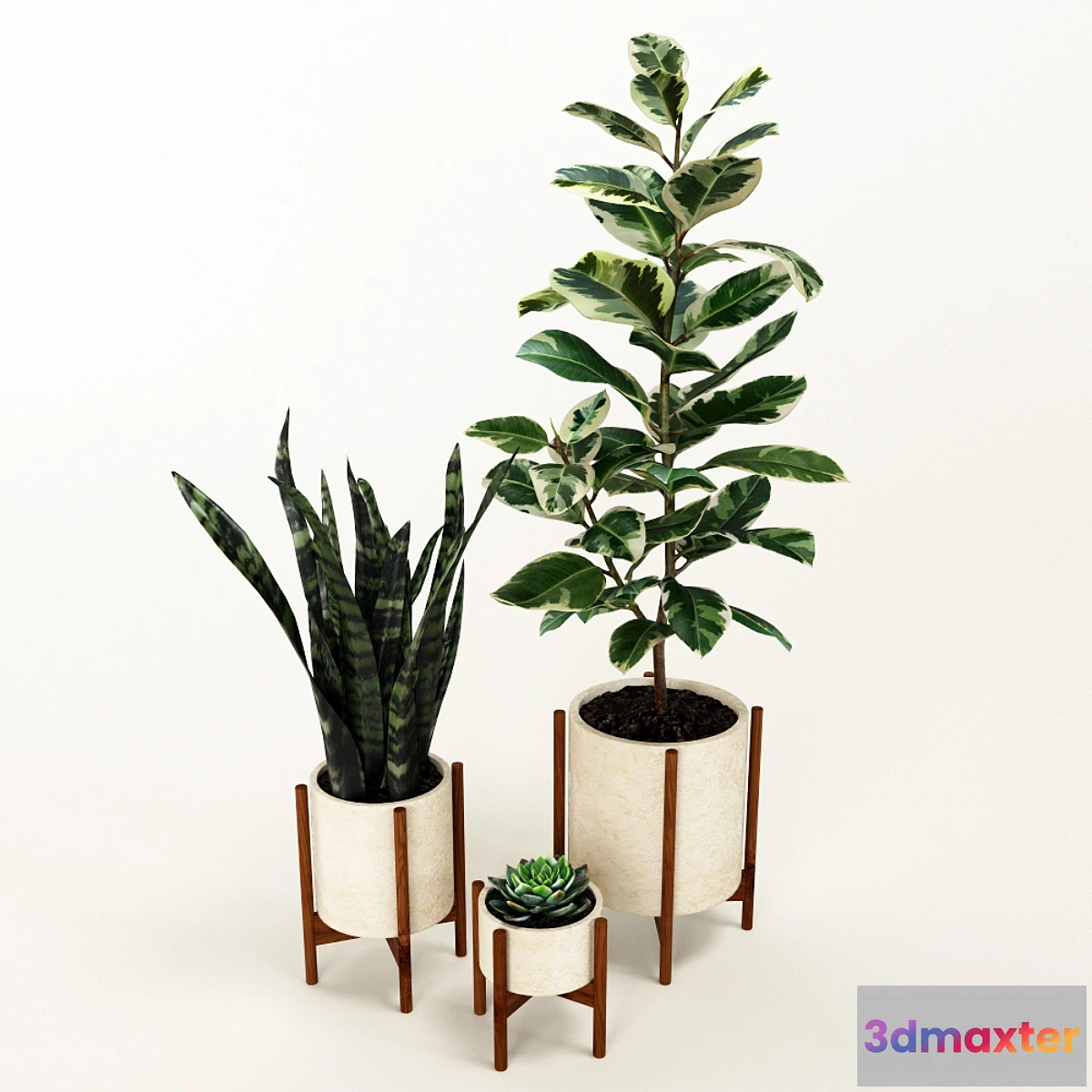 1285792 - Set of flowers 3D Max