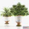 1286904 - PLANTS 6 3D Max
