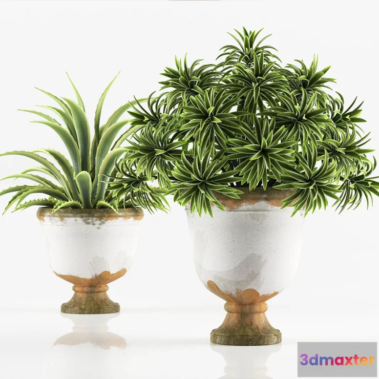 1286904 - PLANTS 6 3D Max