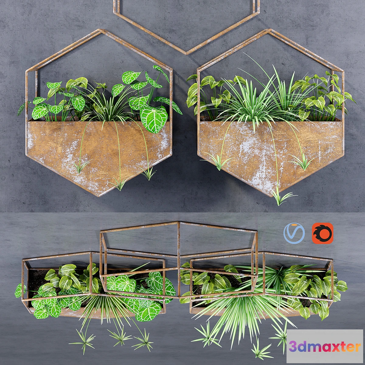 1287100 - Hexagon shelves 3D Max
