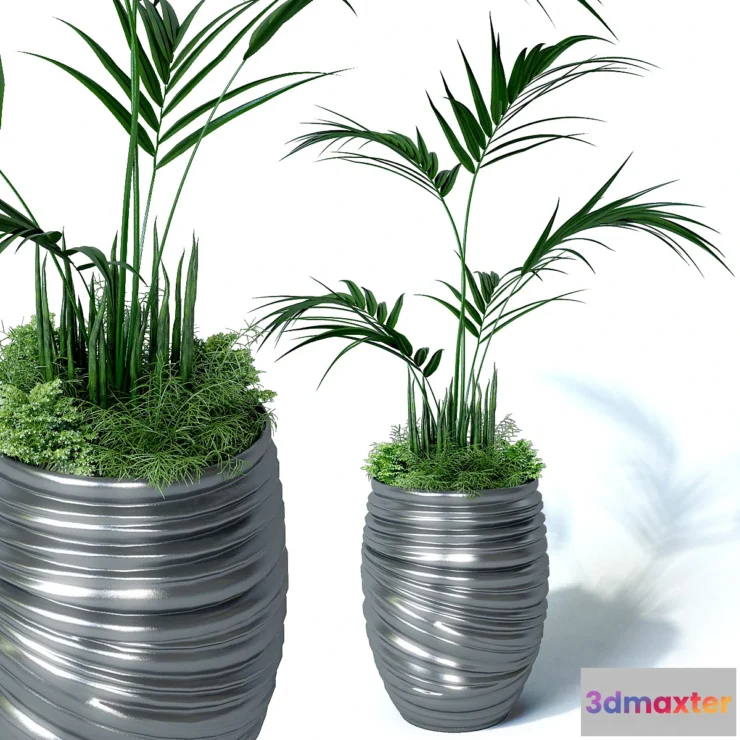 1289422 - Howea palm composition 3D Max