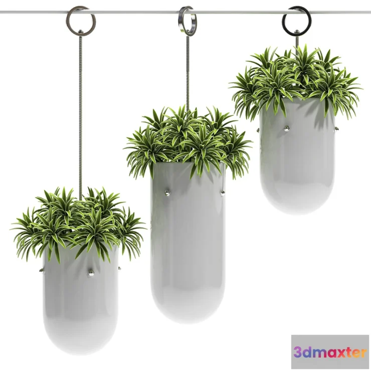 1289610 - HANGING VASE 3 3D Max