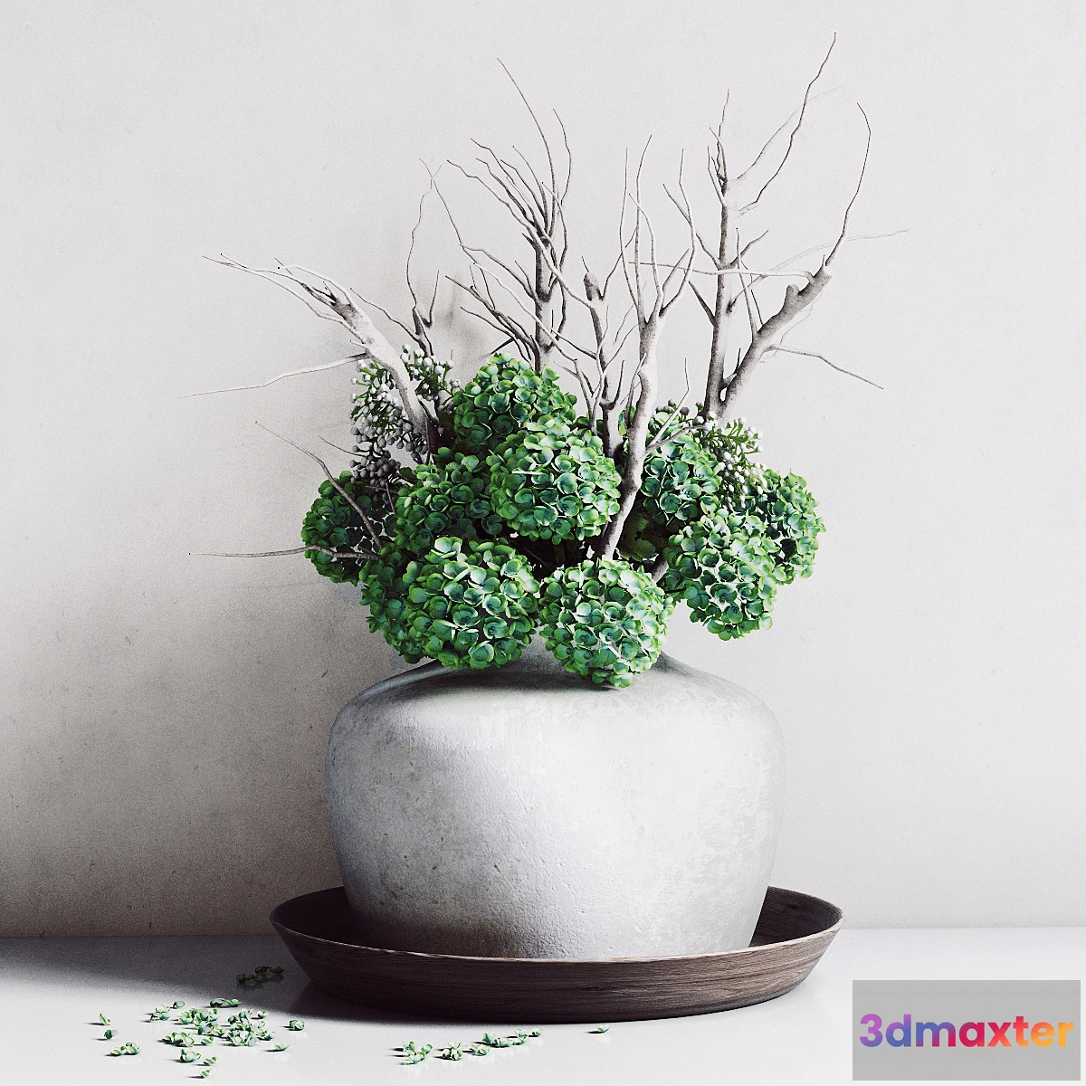 1290487 - Hydrangea Vase 3D Max