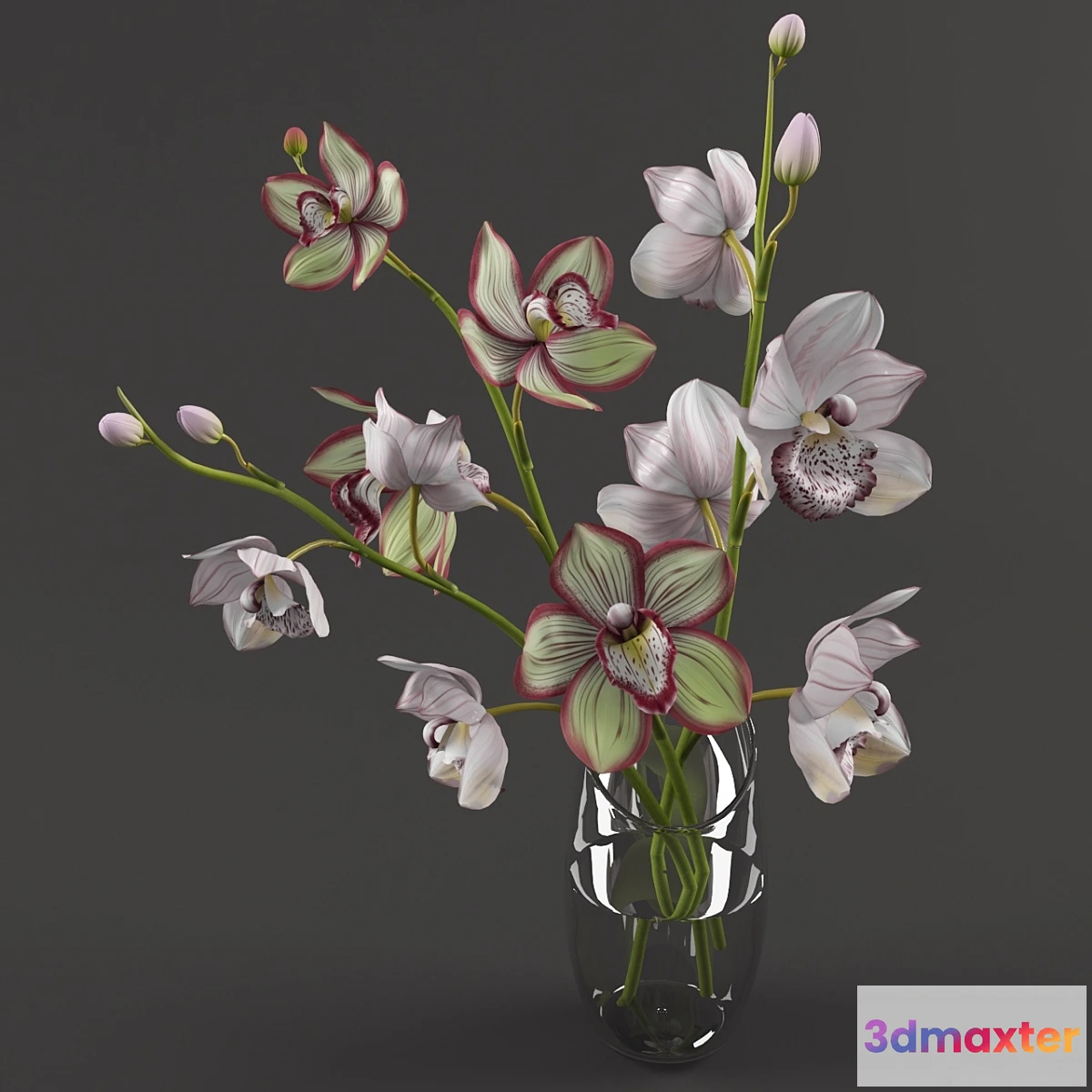 1290841 - Orchids 3D Max