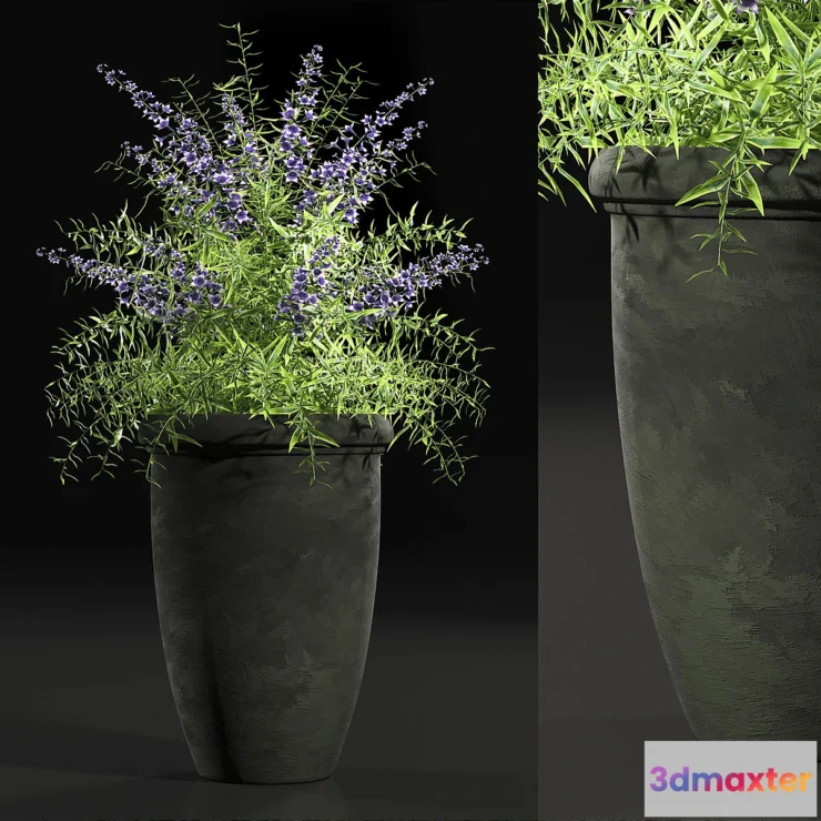 1291433 - PLANTS 7 3D Max