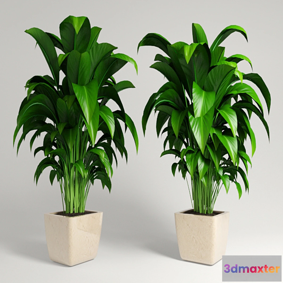 1291445 - plant - No.3 3D Max