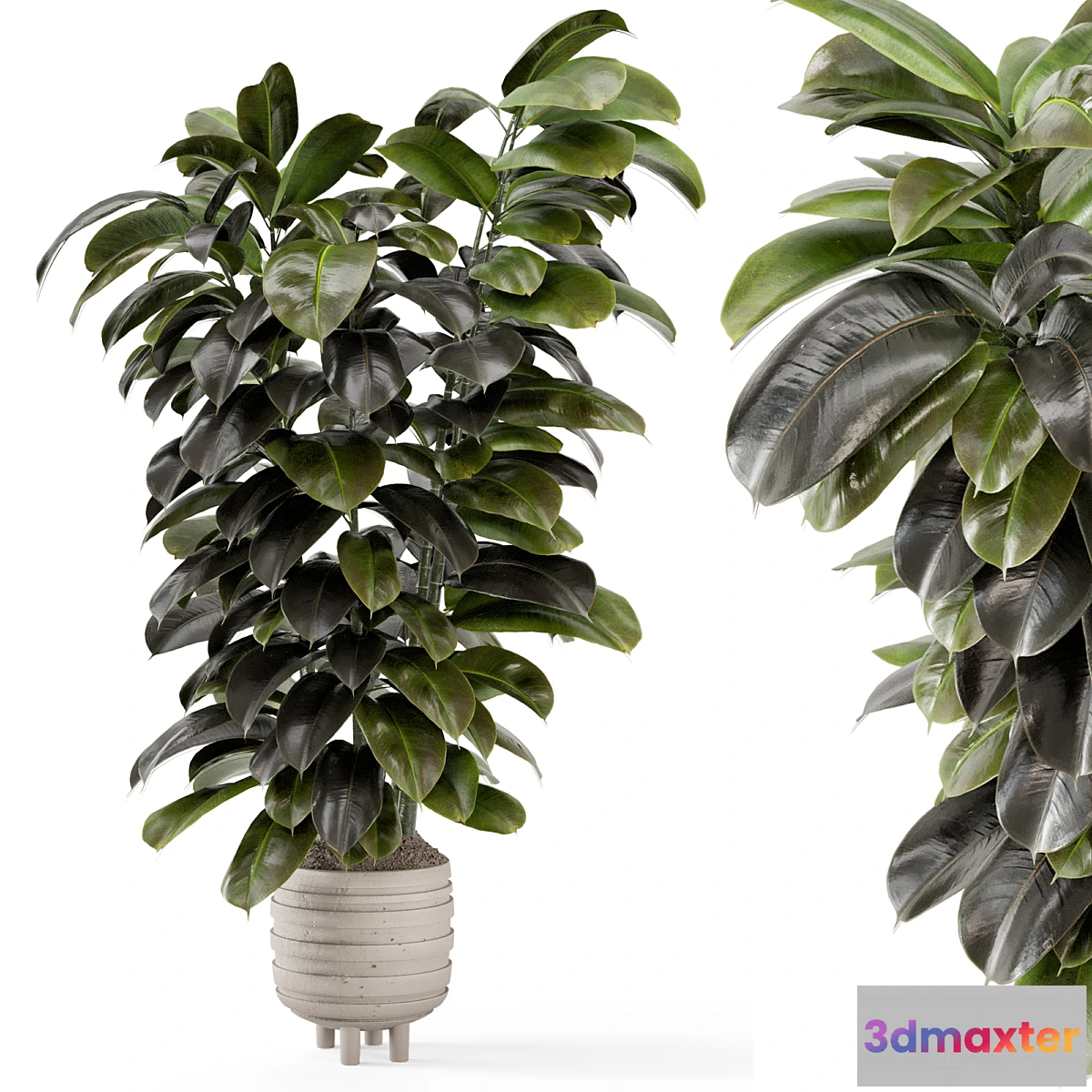 1293766 - Indoor Plants In Concrete Pots - Set 953 3D Max