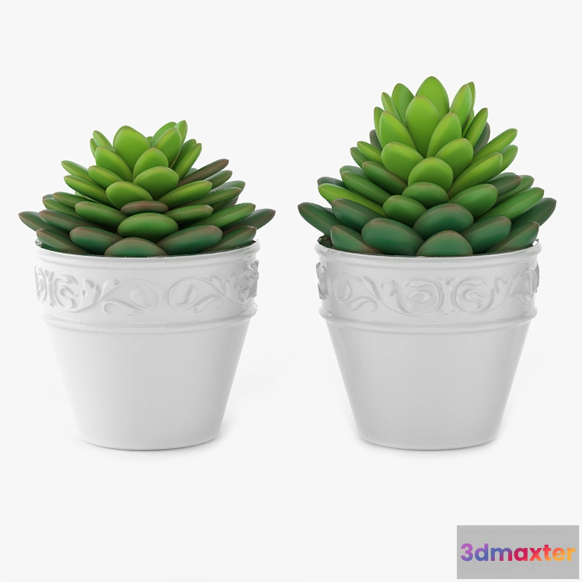 1294208 - Succulents 09 3D Max