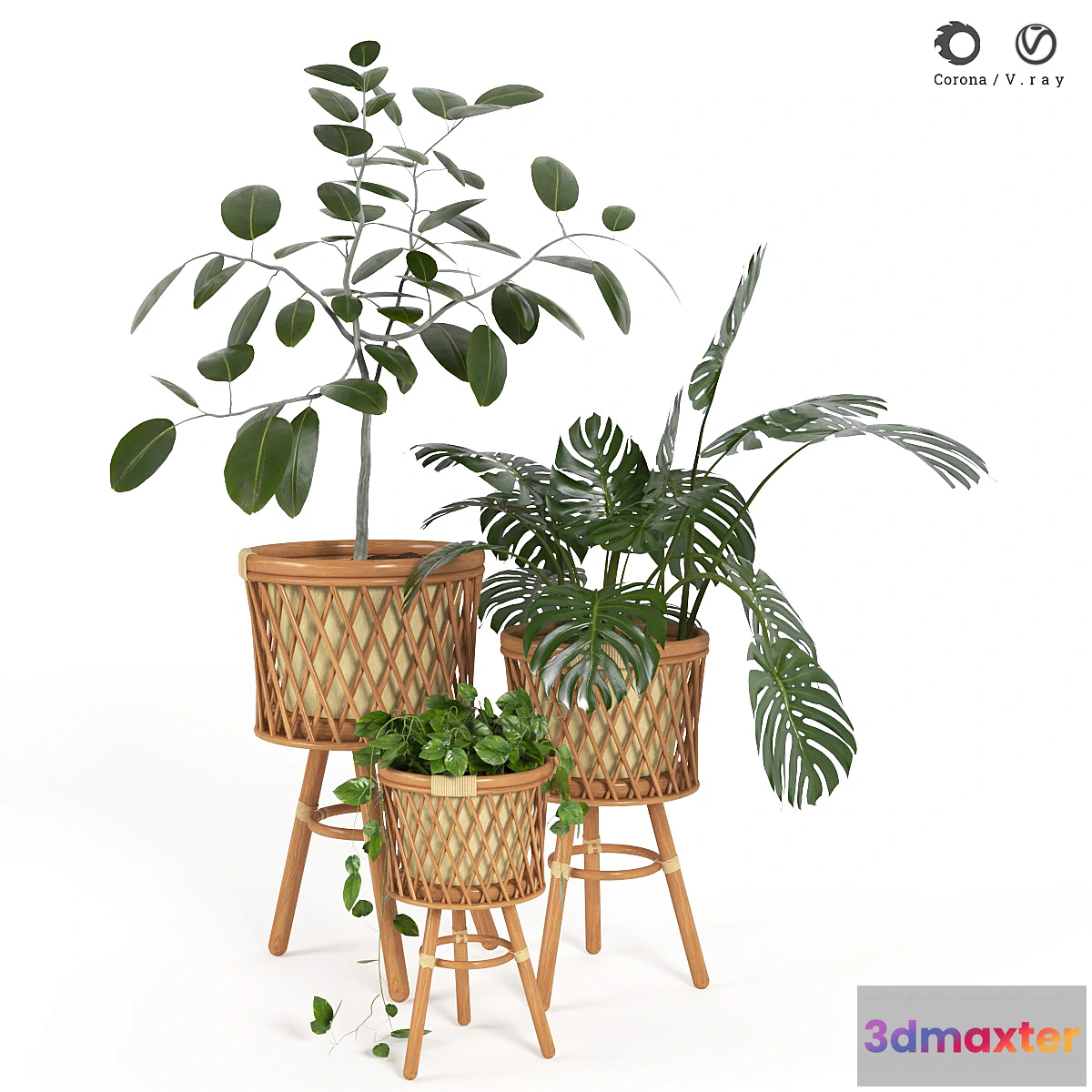 1294684 - plant indoor 02 3D Max