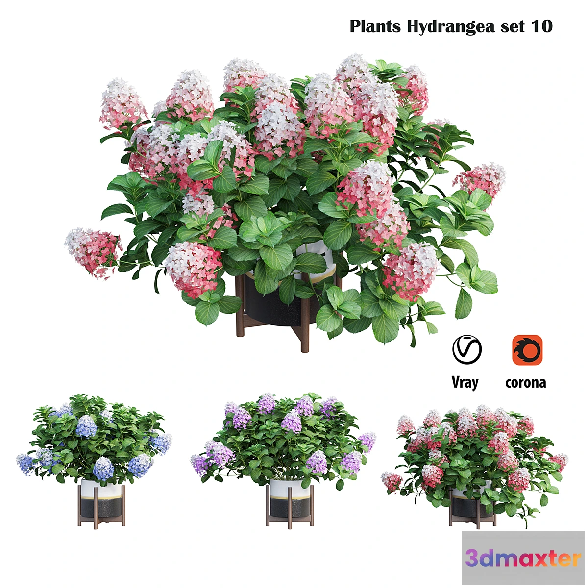 1297386 - Plants Hydrangea set 10 - No.2 3D Max